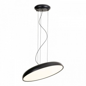 Подвесной светильник Lussole Crook LSP-7360 в Елабуге - elabuga.ok-mebel.com | фото 2