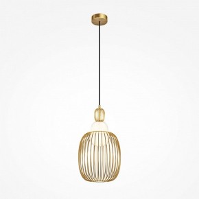 Подвесной светильник Maytoni Levitation MOD376PL-01G1 в Елабуге - elabuga.ok-mebel.com | фото 2