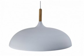 Подвесной светильник Moderli Hygo V11447-1P в Елабуге - elabuga.ok-mebel.com | фото