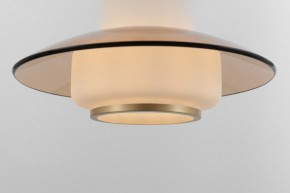Подвесной светильник Rivoli Camille Б0061901 в Елабуге - elabuga.ok-mebel.com | фото 11