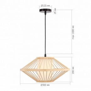 Подвесной светильник ST-Luce ALMA SL6241.533.01 в Елабуге - elabuga.ok-mebel.com | фото 5