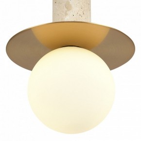 Подвесной светильник ST-Luce Earthy SL1194.303.01 в Елабуге - elabuga.ok-mebel.com | фото 5