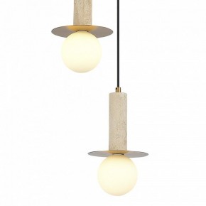 Подвесной светильник ST-Luce Earthy SL1194.303.03 в Елабуге - elabuga.ok-mebel.com | фото 4