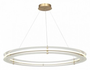Подвесной светильник ST-Luce FAGY SL6245.213.01 в Елабуге - elabuga.ok-mebel.com | фото 4