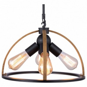 Подвесной светильник TopLight Jasmin TL1179H-04BK в Елабуге - elabuga.ok-mebel.com | фото
