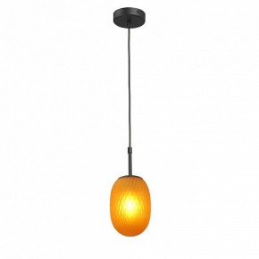 Подвесной светильник Vitaluce V2821 V2821-1/1S в Елабуге - elabuga.ok-mebel.com | фото 2