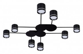 Потолочная люстра Arte Lamp Legacy A8024PL-8BK в Елабуге - elabuga.ok-mebel.com | фото