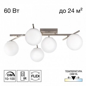 Потолочная люстра Citilux Dorsy CL223151 в Елабуге - elabuga.ok-mebel.com | фото 2