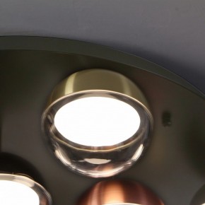 Потолочная люстра Favourite Luna 4371-12C в Елабуге - elabuga.ok-mebel.com | фото 2