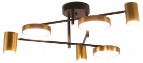 Потолочная люстра Kink Light Рапис 07645-6D,19(20) в Елабуге - elabuga.ok-mebel.com | фото