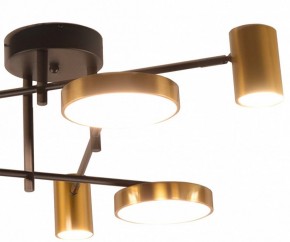 Потолочная люстра Kink Light Рапис 07645-6D,19(20) в Елабуге - elabuga.ok-mebel.com | фото 2