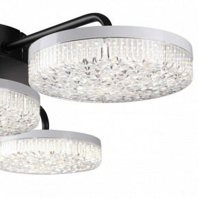 Потолочная люстра Lumion Didana 8236/4CL в Елабуге - elabuga.ok-mebel.com | фото 7