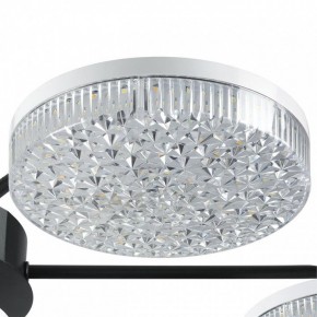 Потолочная люстра Lumion Didana 8236/7CL в Елабуге - elabuga.ok-mebel.com | фото 9