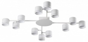 Потолочная люстра Lumion Gareta 8235/12C в Елабуге - elabuga.ok-mebel.com | фото
