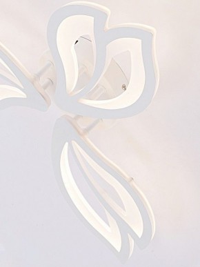 Потолочная люстра Natali Kovaltseva FORTUNA LED LAMPS 81107/2C в Елабуге - elabuga.ok-mebel.com | фото 11