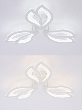 Потолочная люстра Natali Kovaltseva FORTUNA LED LAMPS 81107/2C в Елабуге - elabuga.ok-mebel.com | фото 4