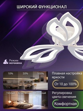 Потолочная люстра Natali Kovaltseva FORTUNA LED LAMPS 81107/2C в Елабуге - elabuga.ok-mebel.com | фото 5