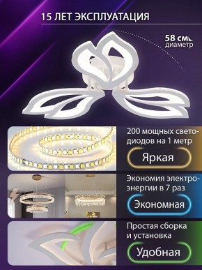 Потолочная люстра Natali Kovaltseva FORTUNA LED LAMPS 81107/2C в Елабуге - elabuga.ok-mebel.com | фото 6
