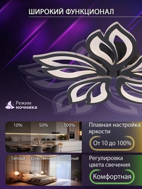 Потолочная люстра Natali Kovaltseva FORTUNA LED LAMPS 81107/5C в Елабуге - elabuga.ok-mebel.com | фото 6