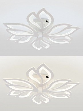 Потолочная люстра Natali Kovaltseva FORTUNA LED LAMPS 81107/6C в Елабуге - elabuga.ok-mebel.com | фото 4