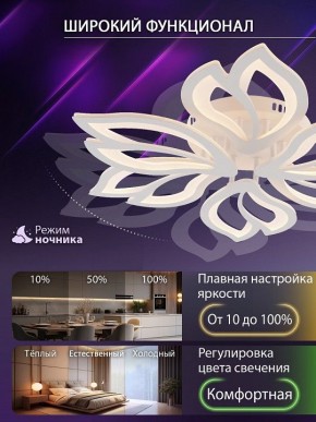 Потолочная люстра Natali Kovaltseva FORTUNA LED LAMPS 81107/6C в Елабуге - elabuga.ok-mebel.com | фото 6