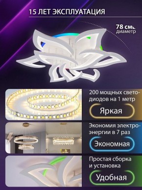 Потолочная люстра Natali Kovaltseva OLIMP LED LAMPS 81435 в Елабуге - elabuga.ok-mebel.com | фото 5