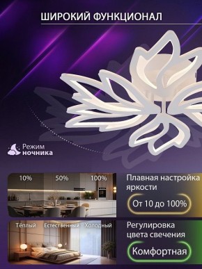 Потолочная люстра Natali Kovaltseva RIF LED LAMPS 81118/5C в Елабуге - elabuga.ok-mebel.com | фото 6