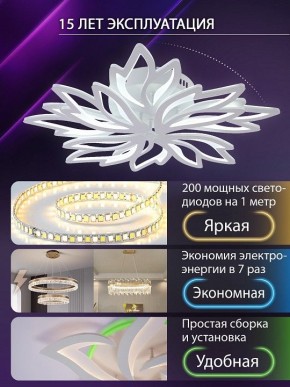 Потолочная люстра Natali Kovaltseva RIF LED LAMPS 81118/6C в Елабуге - elabuga.ok-mebel.com | фото 5