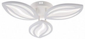 Потолочная люстра Natali Kovaltseva SM LED LAMPS 81456 в Елабуге - elabuga.ok-mebel.com | фото