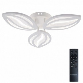 Потолочная люстра Natali Kovaltseva SM LED LAMPS 81456 в Елабуге - elabuga.ok-mebel.com | фото 2