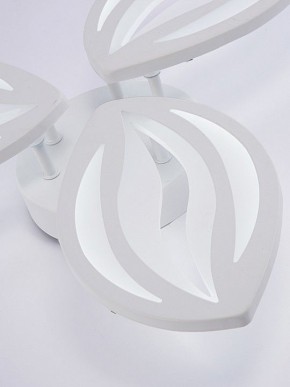 Потолочная люстра Natali Kovaltseva SM LED LAMPS 81456 в Елабуге - elabuga.ok-mebel.com | фото 8