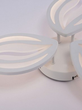 Потолочная люстра Natali Kovaltseva SM LED LAMPS 81456 в Елабуге - elabuga.ok-mebel.com | фото 9