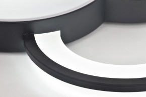 Потолочная люстра Rivoli Aliona Б0066452 в Елабуге - elabuga.ok-mebel.com | фото 10