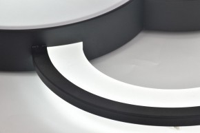 Потолочная люстра Rivoli Aliona Б0066452 в Елабуге - elabuga.ok-mebel.com | фото 12