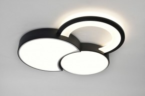 Потолочная люстра Rivoli Aliona Б0066452 в Елабуге - elabuga.ok-mebel.com | фото 7