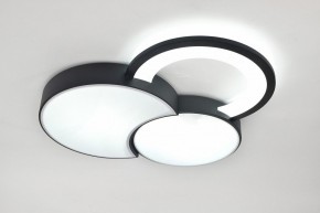 Потолочная люстра Rivoli Aliona Б0066452 в Елабуге - elabuga.ok-mebel.com | фото 8