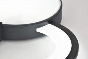 Потолочная люстра Rivoli Aliona Б0066452 в Елабуге - elabuga.ok-mebel.com | фото 9