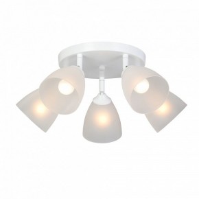 Потолочная люстра Vitaluce V4355 V4355-0/5PL в Елабуге - elabuga.ok-mebel.com | фото 2