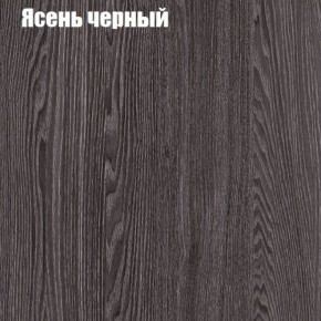 Прихожая ДИАНА-4 сек №10 (Ясень анкор/Дуб эльза) в Елабуге - elabuga.ok-mebel.com | фото 3