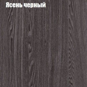 Прихожая ДИАНА-4 сек №11 (Ясень анкор/Дуб эльза) в Елабуге - elabuga.ok-mebel.com | фото 3