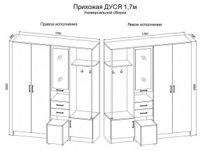 Прихожая Дуся 1.7 УНИ (Дуб Бунратти/Белый Бриллиант) в Елабуге - elabuga.ok-mebel.com | фото 2