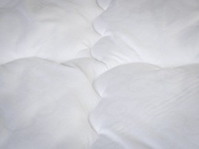 PROxSON Одеяло классическое PROSON (Стеганное полотно) 140x200 в Елабуге - elabuga.ok-mebel.com | фото 4