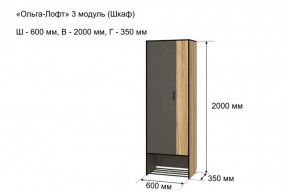 Шкаф 2-х створчатый "Ольга-Лофт 3" в Елабуге - elabuga.ok-mebel.com | фото 4