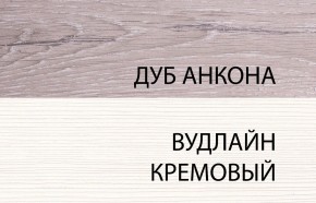 Шкаф 2DG, OLIVIA, цвет вудлайн крем/дуб анкона в Елабуге - elabuga.ok-mebel.com | фото 3