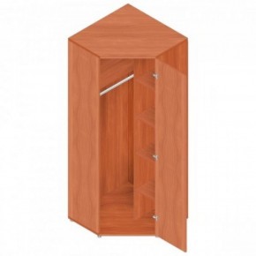 Шкаф для одежды "Референт" Р.Ш-10 в Елабуге - elabuga.ok-mebel.com | фото