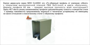 Шкаф-купе 1500 серии NEW CLASSIC K3+K3+B2+PL1 (2 ящика+1 штанга) профиль «Капучино» в Елабуге - elabuga.ok-mebel.com | фото 5