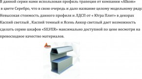 Шкаф-купе 2250 серии SILVER S3+S1+S3Z B22+PL2 (по 2 ящика лев/прав+1штанга+1 полка) профиль «Серебро» в Елабуге - elabuga.ok-mebel.com | фото 4