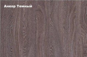 АЛЬЯНС 15 Шкаф-купе Альянс + комплект зеркал №2 в Елабуге - elabuga.ok-mebel.com | фото 4