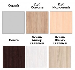 Шкаф-купе ХИТ 22-4-14-88 (420) в Елабуге - elabuga.ok-mebel.com | фото 4