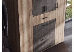 Шкаф платяной Паркинс в Елабуге - elabuga.ok-mebel.com | фото 3